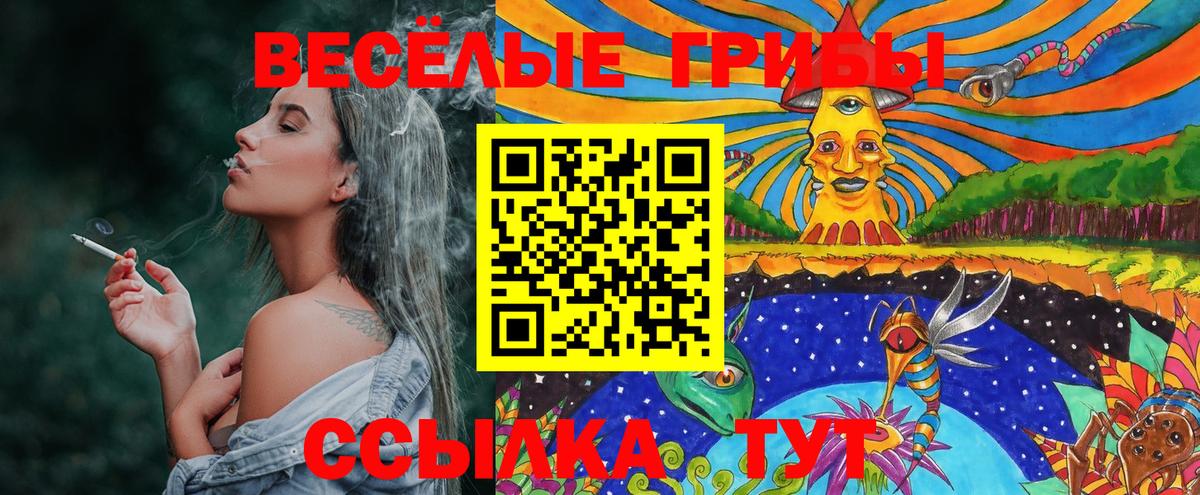 Галлюциногенные грибы Psilocybe Тихорецк